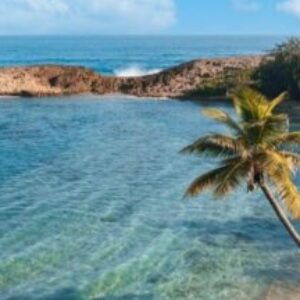 Foto de perfil de Carmen Francis Gonzalez Pino